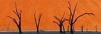 Dead trees by red sand dunes, Dead Vlei, Namib-Naukluft National Park, Namibia Fine Art Print
