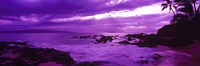 Purple Sunset over the coast, Makena Beach, Maui, Hawaii Fine Art Print