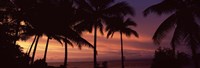 Palm trees on the coast, Colombia (pink sky) by Panoramic Images - 27" x 9"