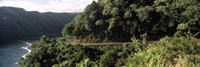 Hana Highway, Maui, Hawaii Fine Art Print