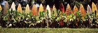 Surfboard fence in a garden, Maui, Hawaii, USA Fine Art Print