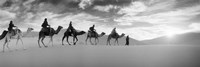 Tourists riding camels through the Sahara Desert landscape led by a Berber man, Morocco (black and white) Fine Art Print