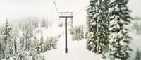 Chair lift and snowy evergreen trees at Stevens Pass, Washington State, USA by Panoramic Images - 27" x 9"
