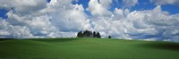 Trees on the top of a hill, Palouse, Whitman County, Washington State, USA Fine Art Print