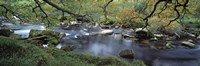 River flowing through a forest, West Dart River, Dartmeet, Devon, England Fine Art Print