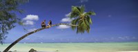 Couple on trunk of a palm tree on the beach, Aitutaki, Cook Islands by Panoramic Images - 27" x 9"