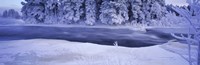 River flowing through a snow covered forest, Dal River, Sweden Fine Art Print
