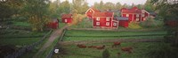 Traditional red farm houses and barns at village, Stensjoby, Smaland, Sweden Fine Art Print