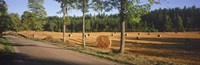Hay bales in a field, Flens, Sweden Fine Art Print