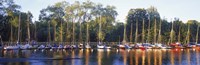Sailboats moored at a dock, Langholmens Canal, Stockholm, Sweden Fine Art Print
