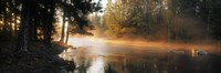 Fog over a river, Dal River, Sweden Fine Art Print