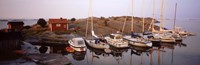 Sailboats on the coast, Stora Nassa, Stockholm Archipelago, Sweden Fine Art Print