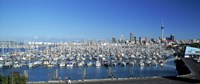 Yachts at Waitemata Harbor, Sky Tower, Auckland, North Island, New Zealand Fine Art Print