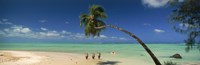 Palm tree extended over the beach, Aitutaki, Cook Islands by Panoramic Images - 27" x 9"
