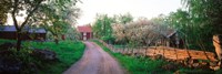 Dirt road leading to farmhouses, Stensjoby, Smaland, Sweden Fine Art Print