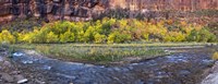Virgin River at Big Bend, Zion National Park, Springdale, Utah, USA Fine Art Print