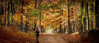 Kid with backpack walking in fall colors Fine Art Print