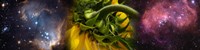 Sunflower in the Hubble cosmos by Panoramic Images - 36" x 9"