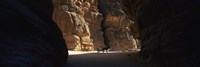 Horse and cart in The Siq, Wadi Musa, Petra, Jordan Fine Art Print