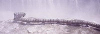 People on cat walks at floodwaters on Iguacu Falls, Brazil Fine Art Print