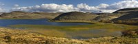 Pond with sedges, Torres del Paine National Park, Chile Fine Art Print