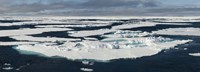 Ice floes on the Arctic Ocean, Spitsbergen, Svalbard Islands, Norway Fine Art Print