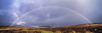 Rainbow above Fernworthy Forest, Dartmoor, Devon, England Fine Art Print