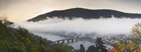 City viewed from Philosopher's Way at morning, Heidelberg, Baden-Wurttemberg, Germany Fine Art Print