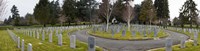 Tombstones in a Veterans cemetery, Vancouver Island, British Columbia, Canada 2011 Fine Art Print
