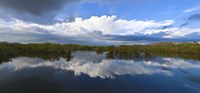 Reflection of clouds on water, Everglades National Park, Florida, USA Fine Art Print