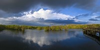 Reflection of clouds in a lake, Everglades National Park, Florida, USA Fine Art Print