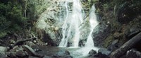 Waterfall in a forest, Chiang Mai, Thailand Fine Art Print