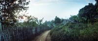 Dirt road passing through an indigenous village, Chiang Mai, Thailand Fine Art Print