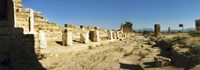 Ruins of Hierapolis at Pamukkale with mountains in the background, Anatolia, Central Anatolia Region, Turkey Fine Art Print