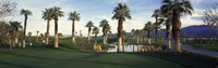 Palm trees in a golf course, Desert Springs Golf Course, Palm Springs, Riverside County, California, USA Fine Art Print