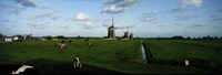 Windmills, Netherlands Fine Art Print