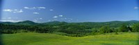 Farm, Peacham, Vermont, USA by Panoramic Images - 36" x 12"