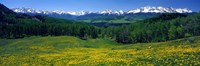 San Miguel Mountains In Spring, Colorado, USA Fine Art Print