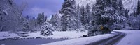 Winter Road, Yosemite Park, California, USA Fine Art Print