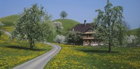 A road through Zug, Switzerland by Panoramic Images - 36" x 12"