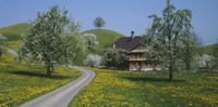 A road through Zug, Switzerland Fine Art Print