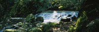Waterfall, Birks O' Aberfeldy, Perthshire, Scotland Fine Art Print