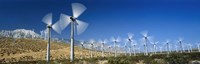 Wind turbines spinning in a field, Palm Springs, California, USA Fine Art Print