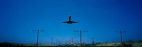 Airplane landing Philadelphia International Airport PA USA by Panoramic Images - 36" x 12"
