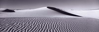 Dunes in Black and White, New Mexico by Panoramic Images - 36" x 12" - $34.99