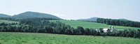 Farm In A Field, Danville, Vermont, USA by Panoramic Images - 36" x 12"