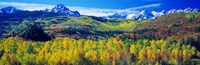 San Juan Mountains, Colorado, USA Fine Art Print