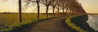 Winding Road, Trees, Oudendijk, Netherlands by Panoramic Images - 36" x 12"