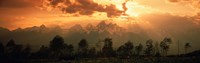 Dawn Teton Range Grand Teton National Park WY USA by Panoramic Images - 36" x 12"