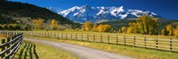 Fence along a road, Sneffels Range, Colorado, USA Fine Art Print